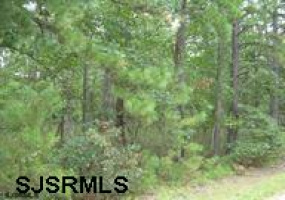 0 JACKSON RD, Mays Landing, New Jersey 08330, ,Lots/land,For Sale,JACKSON RD,485434