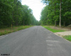 00 HALBERT, Mays Landing, New Jersey 08330, ,Lots/land,For Sale,HALBERT,381685