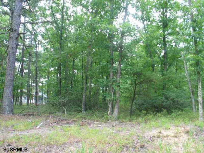 00 HALBERT, Mays Landing, New Jersey 08330, ,Lots/land,For Sale,HALBERT,381685