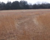 0 Prague, Galloway Township, New Jersey 08205-0000, ,Lots/land,For Sale,Prague,532999