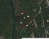 Tuckahoe, Dorothy, New Jersey 08317, ,Lots/land,For Sale,Tuckahoe,538996