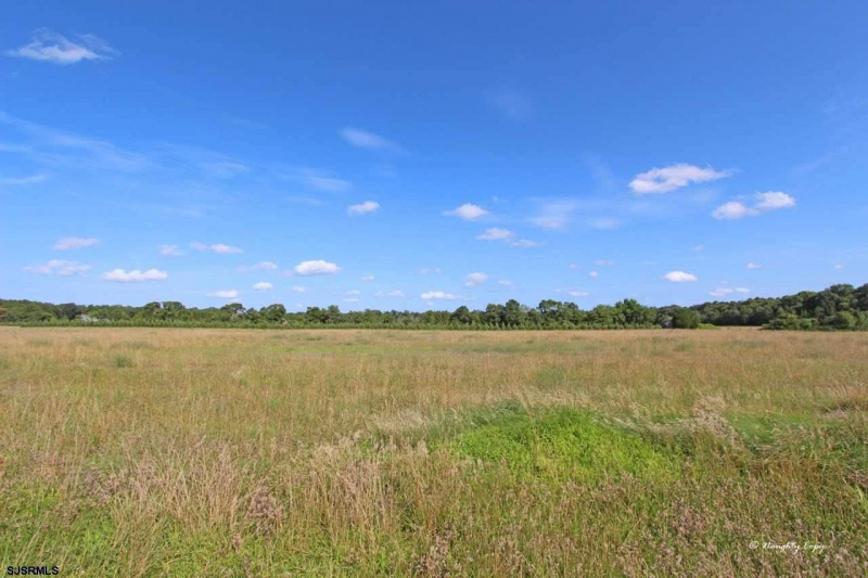 00 Cologne Ave, Egg Harbor City, New Jersey 08215, ,Lots/land,For Sale,Cologne Ave,539353