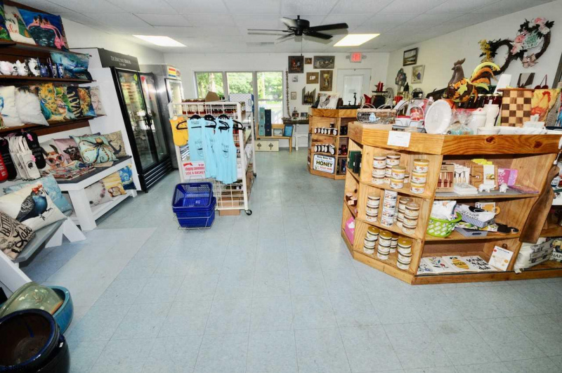 67 Route 50, Upper Township, New Jersey 08230, ,Commercial/industrial,For Sale,Route 50,539383