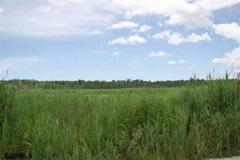102 Tyler, Ocean View, New Jersey 08223, ,Lots/land,For Sale,Tyler,540007