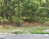 NEW YORK ROAD, Galloway Township, New Jersey 08205, ,Lots/land,For Sale,NEW YORK ROAD,540045