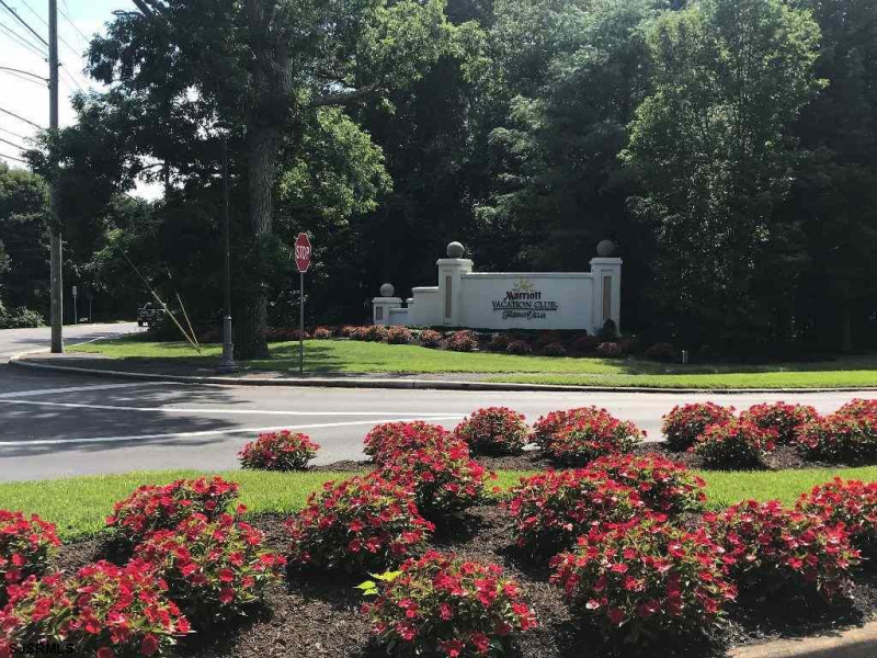 NEW YORK ROAD, Galloway Township, New Jersey 08205, ,Lots/land,For Sale,NEW YORK ROAD,540045