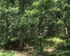 NEW YORK ROAD, Galloway Township, New Jersey 08205, ,Lots/land,For Sale,NEW YORK ROAD,540045