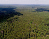 0000 Spruce Street, Mays Landing, New Jersey 08330, ,Lots/land,For Sale,Spruce Street,540083