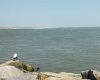 123 oreintal, Atlantic City, New Jersey 08401, ,Multi-family,For Sale,oreintal,540108