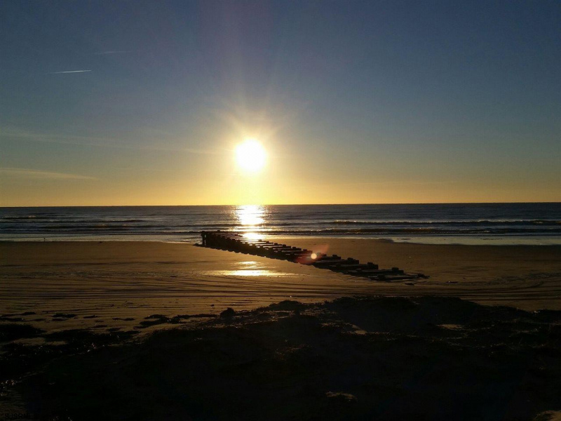 111 16th, Longport, New Jersey 08403-0742, 1 Bedroom Bedrooms, 4 Rooms Rooms,1 BathroomBathrooms,Condominium,For Sale,16th,540106