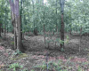 5834 Orange, Laureldale, New Jersey 08330, ,Lots/land,For Sale,Orange,540653