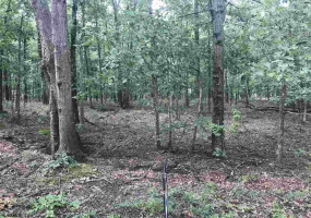 5834 Orange, Laureldale, New Jersey 08330, ,Lots/land,For Sale,Orange,540653