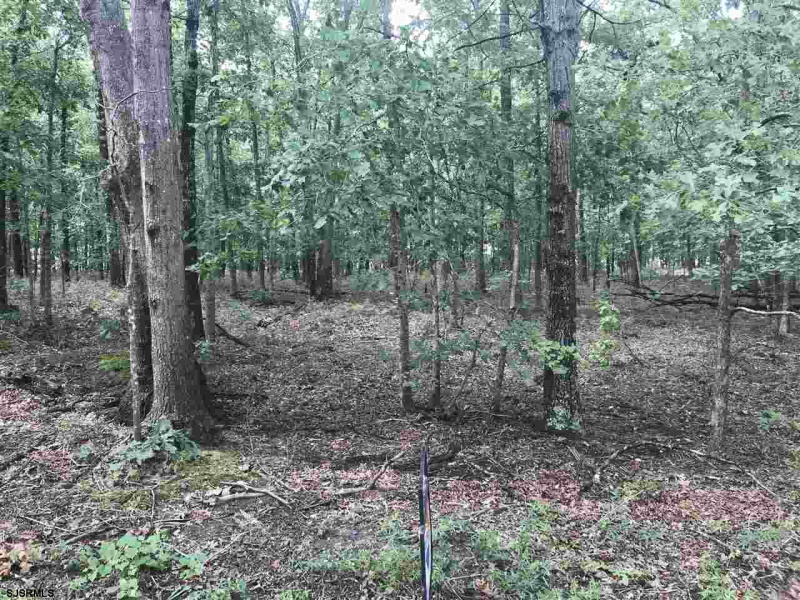 5834 Orange, Laureldale, New Jersey 08330, ,Lots/land,For Sale,Orange,540653
