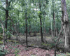 5834 Orange, Laureldale, New Jersey 08330, ,Lots/land,For Sale,Orange,540653