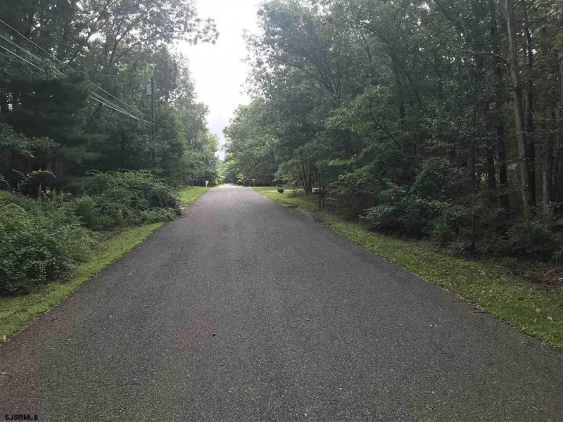 5834 Orange, Laureldale, New Jersey 08330, ,Lots/land,For Sale,Orange,540653