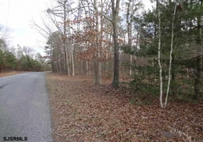00 Jackson Ave, Mays Landing, New Jersey 08330-0000, ,Lots/land,For Sale,Jackson Ave,541081