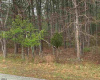 0 Zurich Ave, Galloway Township, New Jersey 08205, ,Lots/land,For Sale,Zurich Ave,541465