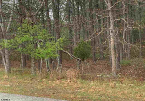 0 Zurich Ave, Galloway Township, New Jersey 08205, ,Lots/land,For Sale,Zurich Ave,541465