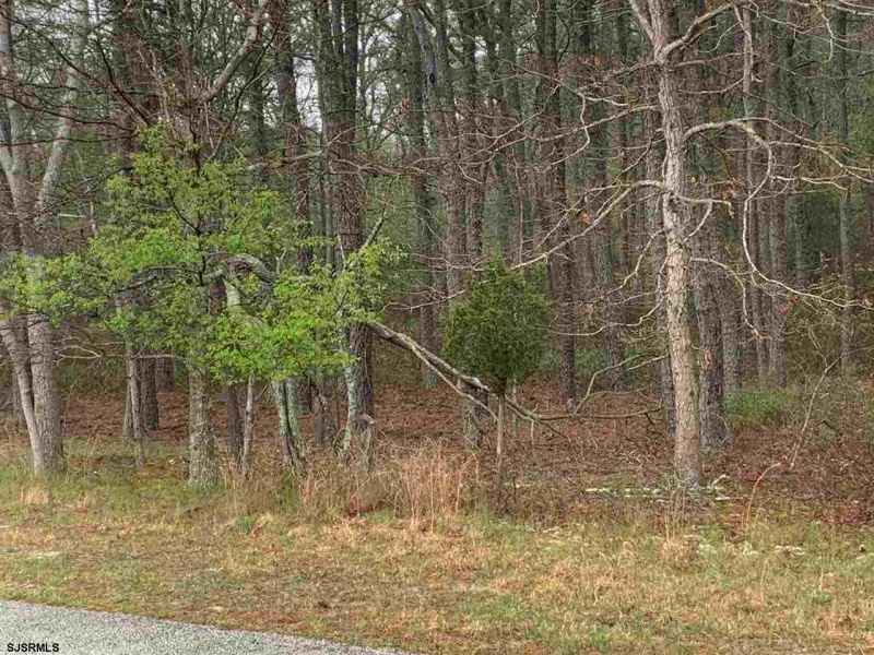 0 Zurich Ave, Galloway Township, New Jersey 08205, ,Lots/land,For Sale,Zurich Ave,541465