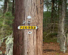 0 Zurich Ave, Galloway Township, New Jersey 08205, ,Lots/land,For Sale,Zurich Ave,541465