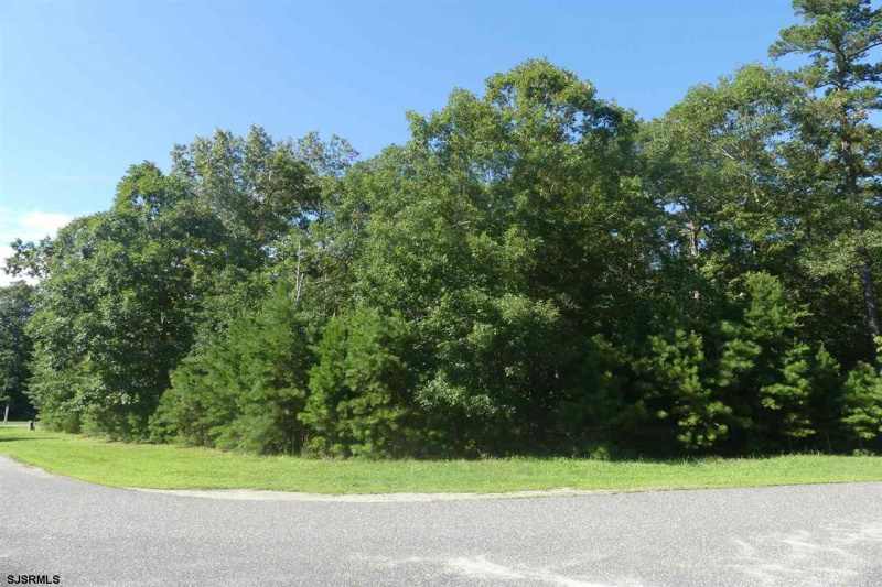 31 Brewers Lane, Dennis Township, New Jersey 08214, ,Lots/land,For Sale,Brewers Lane,541653