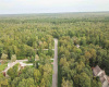31 Brewers Lane, Dennis Township, New Jersey 08214, ,Lots/land,For Sale,Brewers Lane,541653