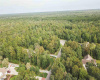 31 Brewers Lane, Dennis Township, New Jersey 08214, ,Lots/land,For Sale,Brewers Lane,541653