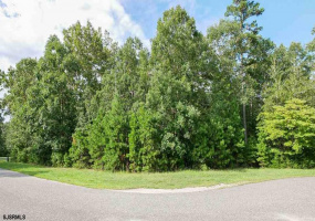 31 Brewers Lane, Dennis Township, New Jersey 08214, ,Lots/land,For Sale,Brewers Lane,541653