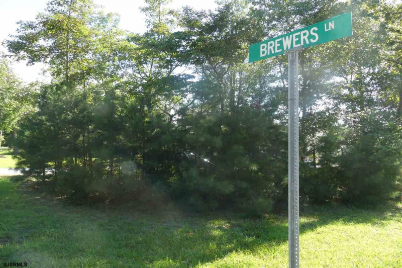 31 Brewers Lane, Dennis Township, New Jersey 08214, ,Lots/land,For Sale,Brewers Lane,541653
