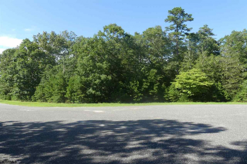 31 Brewers Lane, Dennis Township, New Jersey 08214, ,Lots/land,For Sale,Brewers Lane,541653
