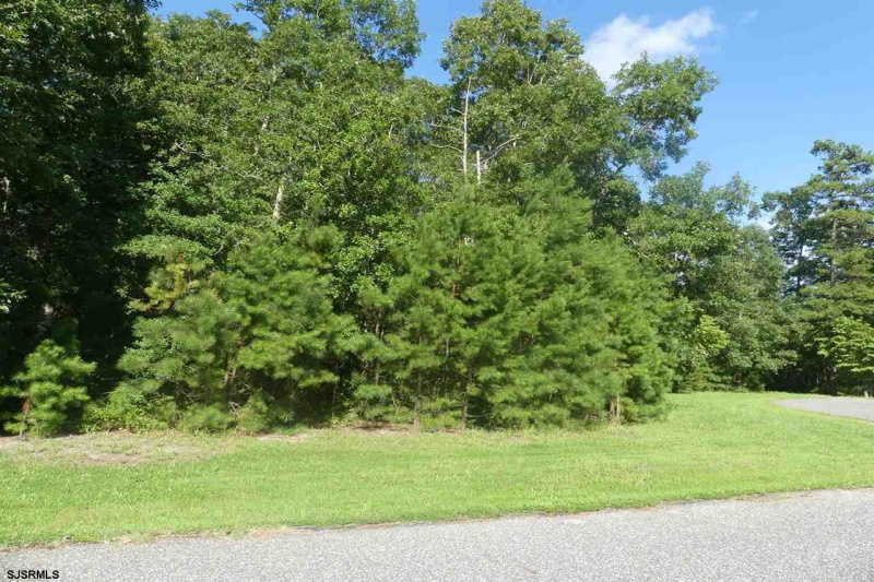 31 Brewers Lane, Dennis Township, New Jersey 08214, ,Lots/land,For Sale,Brewers Lane,541653