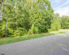 31 Brewers Lane, Dennis Township, New Jersey 08214, ,Lots/land,For Sale,Brewers Lane,541653