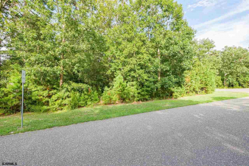 31 Brewers Lane, Dennis Township, New Jersey 08214, ,Lots/land,For Sale,Brewers Lane,541653
