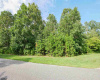31 Brewers Lane, Dennis Township, New Jersey 08214, ,Lots/land,For Sale,Brewers Lane,541653
