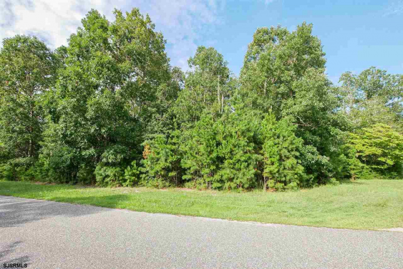 31 Brewers Lane, Dennis Township, New Jersey 08214, ,Lots/land,For Sale,Brewers Lane,541653