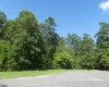 31 Brewers Lane, Dennis Township, New Jersey 08214, ,Lots/land,For Sale,Brewers Lane,541653