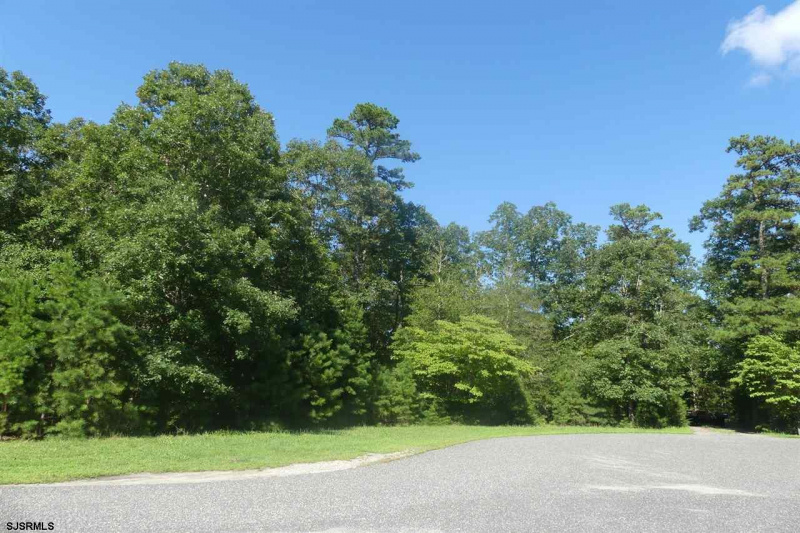 31 Brewers Lane, Dennis Township, New Jersey 08214, ,Lots/land,For Sale,Brewers Lane,541653