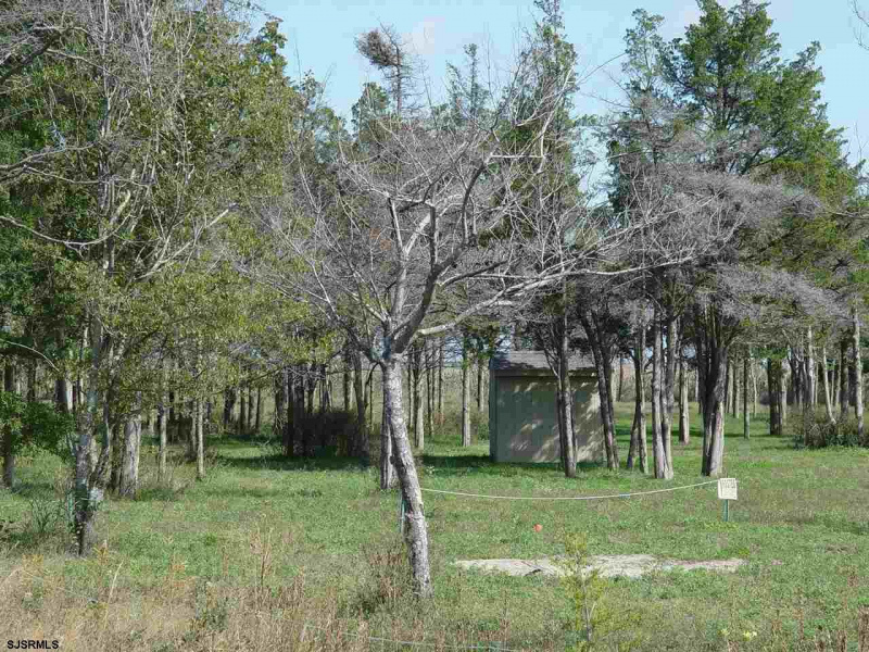 530 Stone Harbor Blvd, Cape May Court House, New Jersey 08210, ,Commercial/industrial,For Sale,Stone Harbor Blvd,541751