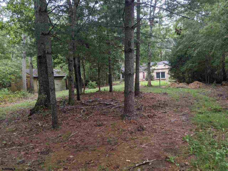541 Petersburg, Dennisville, New Jersey 08214, ,Lots/land,For Sale,Petersburg,541812