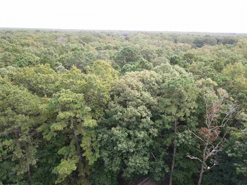 117 Great Creek, Galloway Township, New Jersey 08205, ,Lots/land,For Sale,Great Creek,542446