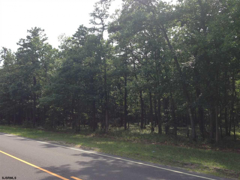 Chris Gaupp Dr, Absecon, New Jersey 08205, ,Lots/land,For Sale,Chris Gaupp Dr,542870
