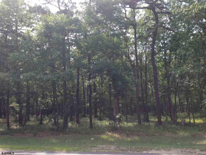 Chris Gaupp Dr, Absecon, New Jersey 08205, ,Lots/land,For Sale,Chris Gaupp Dr,542870