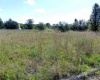 6 Farm Rd., Tuckahoe, New Jersey 08270, ,Lots/land,For Sale,Farm Rd.,543079