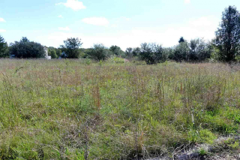 6 Farm Rd., Tuckahoe, New Jersey 08270, ,Lots/land,For Sale,Farm Rd.,543079
