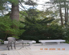 1011 Maple, Linwood, New Jersey 08221-1718, 2 Bedrooms Bedrooms, 6 Rooms Rooms,2 BathroomsBathrooms,Residential,For Sale,Maple,542028