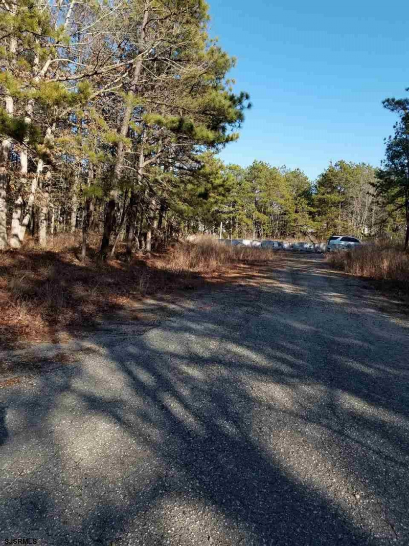 104 Mallard Rd, Stafford Township, New Jersey 08050, ,Lots/land,For Sale,Mallard Rd,543421