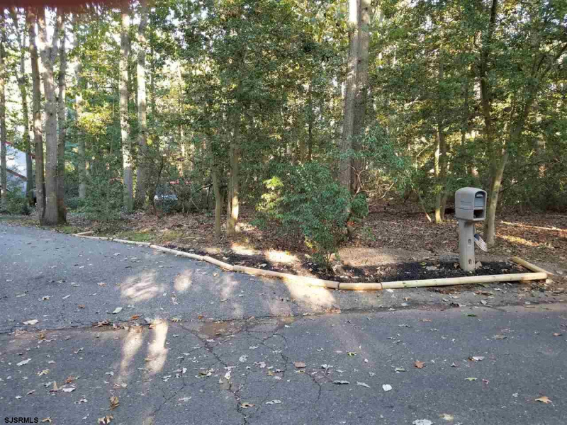 1 Oak Hill Dr, Bridgeton, New Jersey 08302, 4 Bedrooms Bedrooms, 14 Rooms Rooms,3 BathroomsBathrooms,Residential,For Sale,Oak Hill Dr,532372