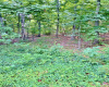 0 Scotts Landing Road Road Road, Smithville, New Jersey 08205, ,Lots/land,For Sale,Scotts Landing Road Road Road,544398