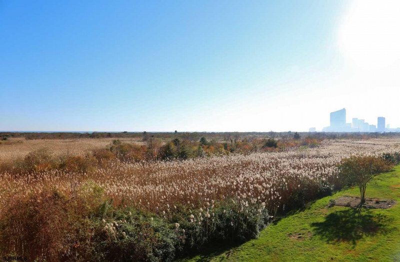 4800 Harbor Beach, Brigantine, New Jersey 08203, 2 Bedrooms Bedrooms, 5 Rooms Rooms,2 BathroomsBathrooms,Condominium,For Sale,Harbor Beach,544449